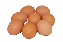 Eieren scharrel 10 stuks